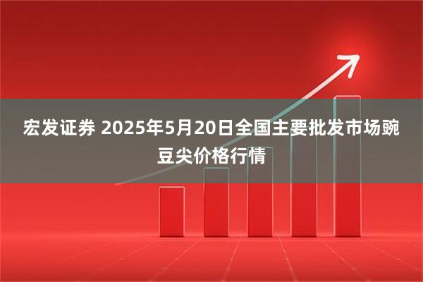 宏发证券 2025年5月20日全国主要批发市场豌豆尖价格行情