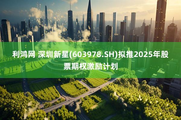 利鸿网 深圳新星(603978.SH)拟推2025年股票期权激励计划