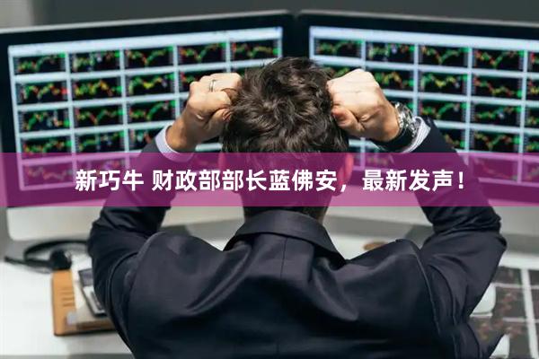 新巧牛 财政部部长蓝佛安，最新发声！