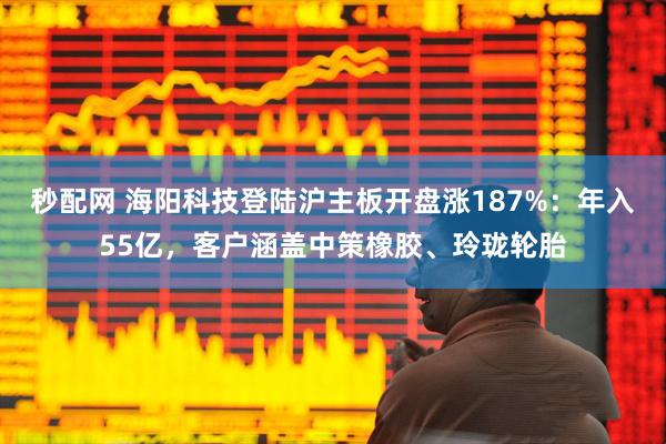 秒配网 海阳科技登陆沪主板开盘涨187%：年入55亿，客户涵盖中策橡胶、玲珑轮胎